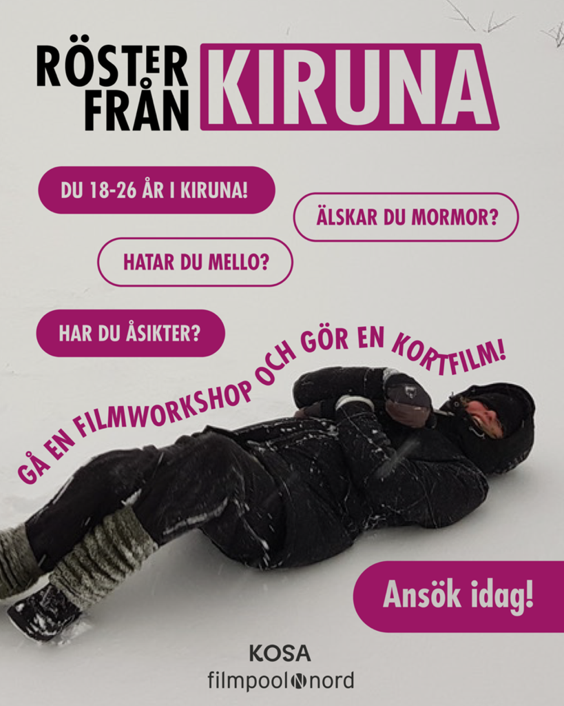 Sök till Röster från Kiruna